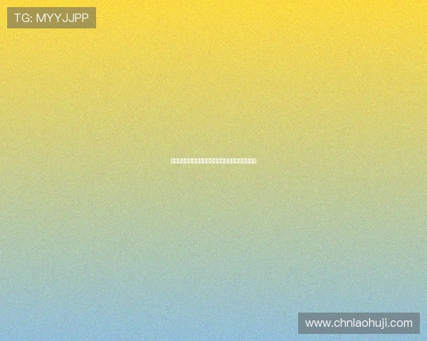 世界杯加拿大对阵卡塔尔历史比分回顾与比赛亮点分析